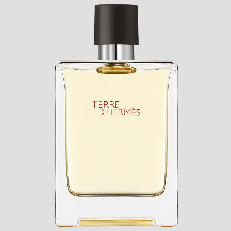 Perfume Hermés Terre D'Hermés Eau de Toilette 200ml Hombre