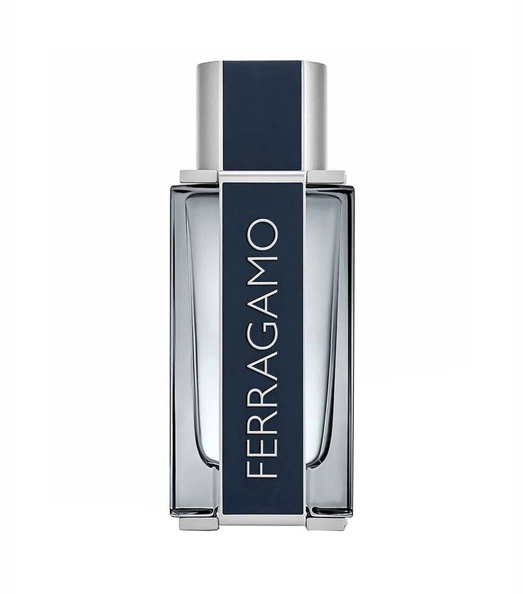 Perfume Salvatore Ferragamo Ferragamo Eau de Toilette 100ml Hombre
