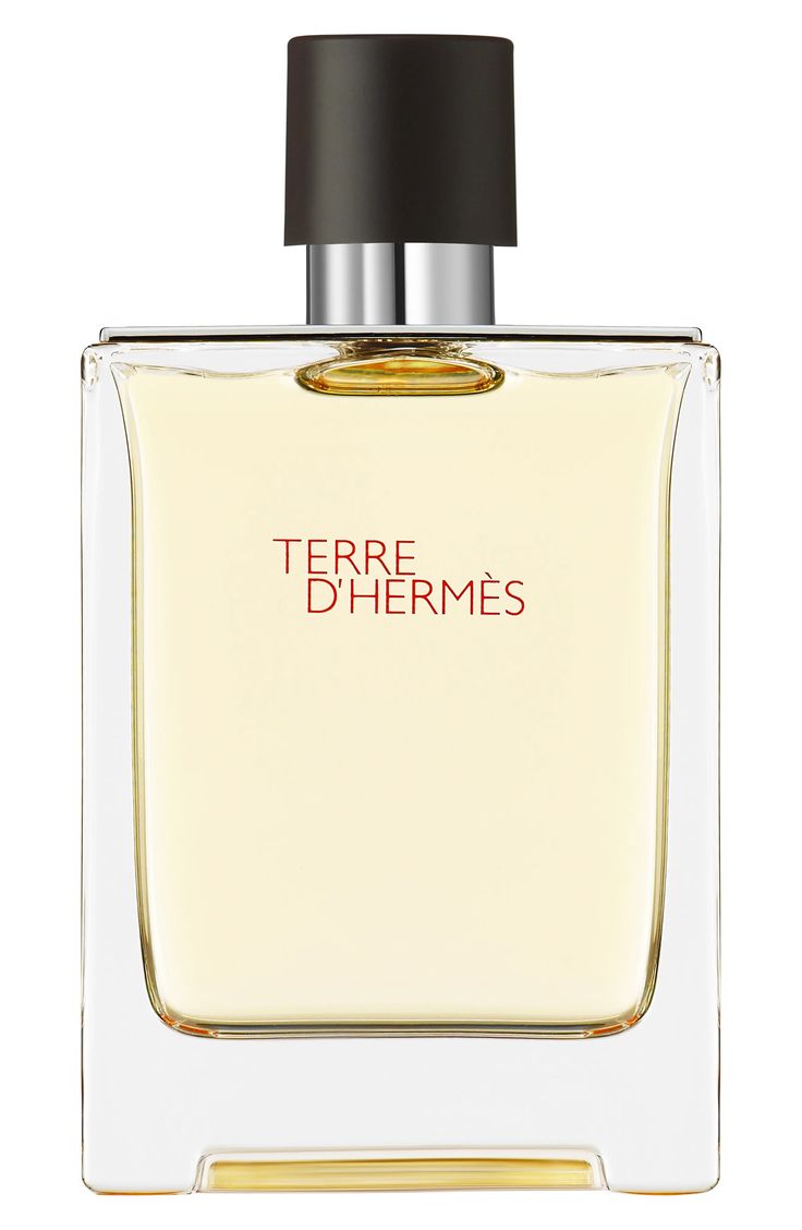 Perfume Hermés Terre D'Hermés Eau de Toilette 100ml Hombre