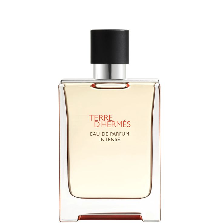 Perfume Hermés Terre D'hermès Eau de Parfum Intense 100ml Hombre